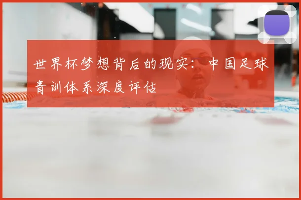 世界杯梦想背后的现实：中国足球青训体系深度评估