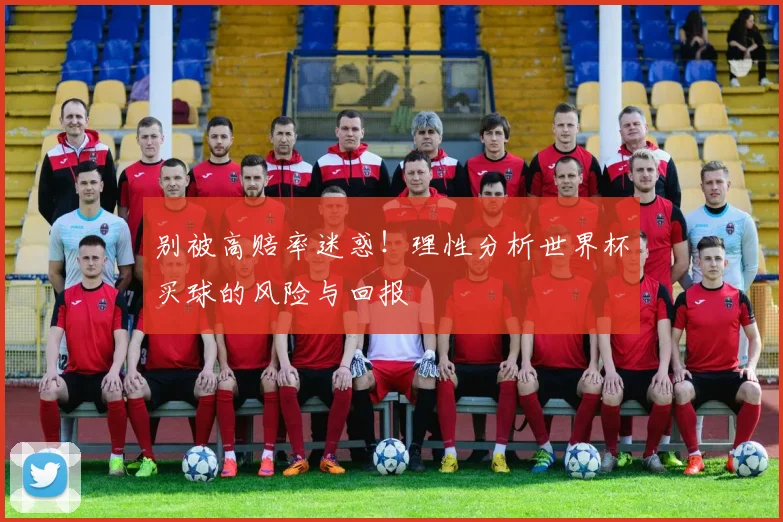 别被高赔率迷惑！理性分析世界杯买球的风险与回报