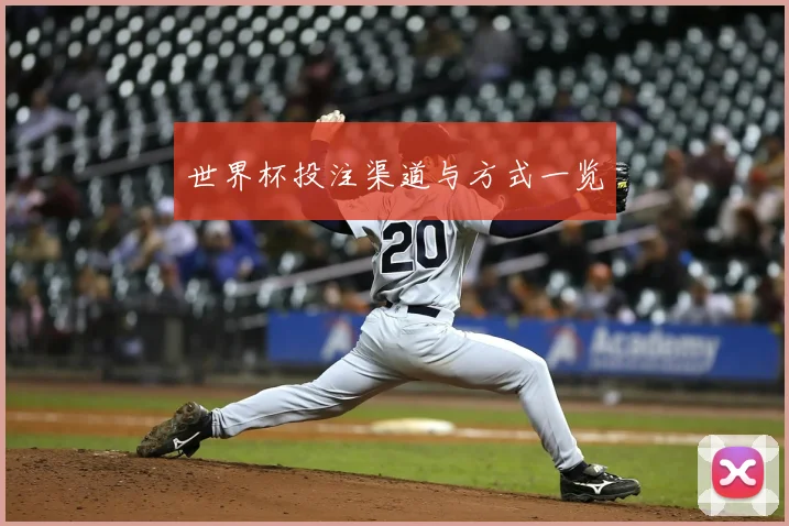 世界杯投注渠道与方式一览