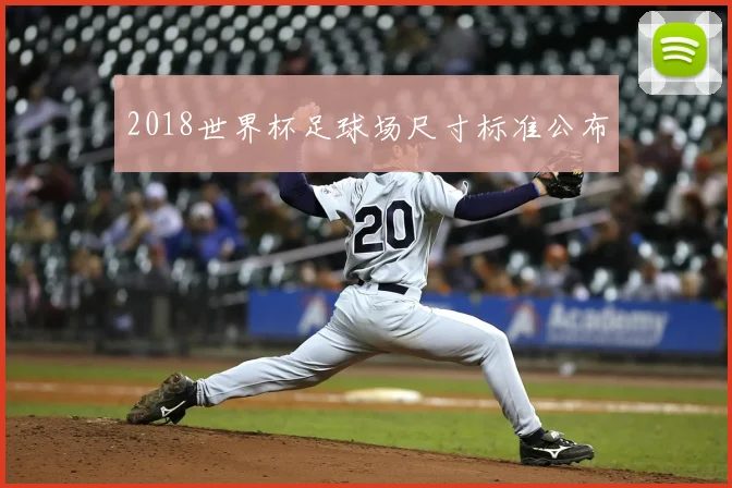 2018世界杯足球场尺寸标准公布