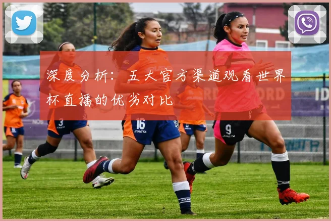深度分析：五大官方渠道观看世界杯直播的优劣对比
