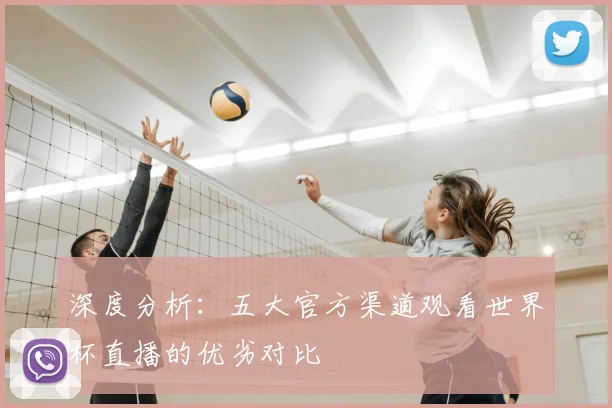深度分析：五大官方渠道观看世界杯直播的优劣对比