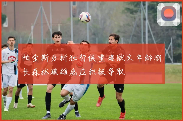 帕金斯分析独行侠重建欧文年龄渐长森林狼雄鹿应积极争取