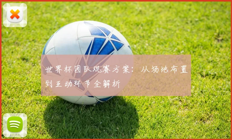 世界杯团队观赛方案:从场地布置到互动环节全解析