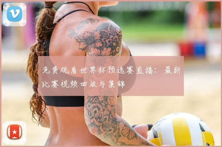 免费观看世界杯预选赛直播：最新比赛视频回放与集锦