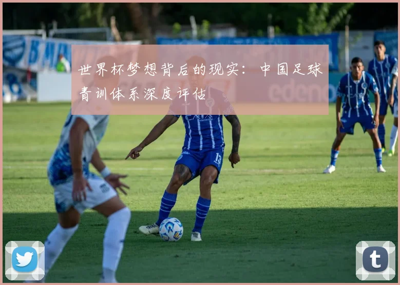 世界杯梦想背后的现实:中国足球青训体系深度评估