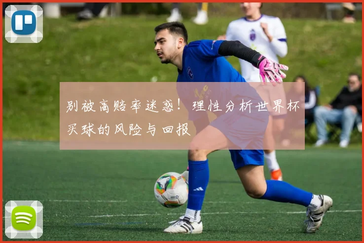 别被高赔率迷惑！理性分析世界杯买球的风险与回报