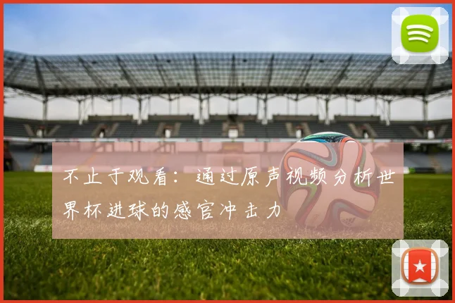 不止于观看：通过原声视频分析世界杯进球的感官冲击力